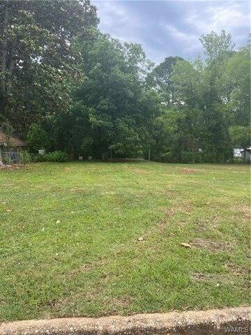 Plot For Sale In Northport, Alabama