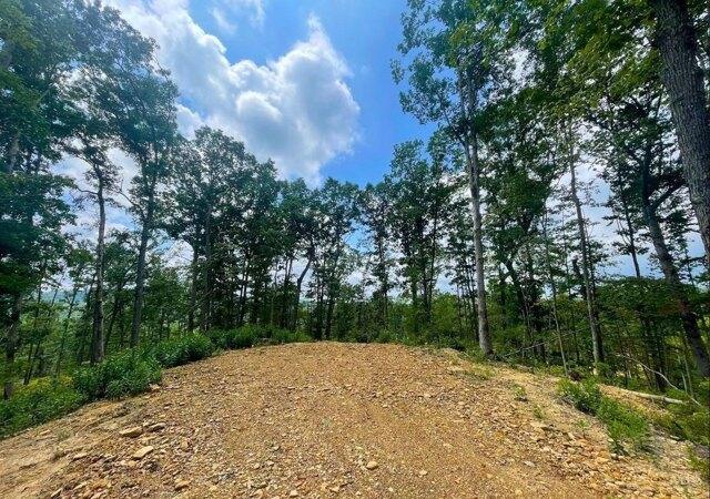 Plot For Sale In Meigs Township, Ohio