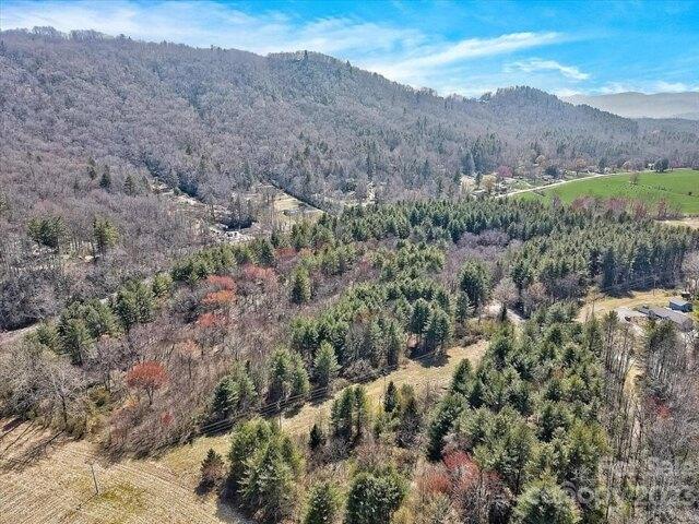 Plot For Sale In Pisgah Forest, North Carolina