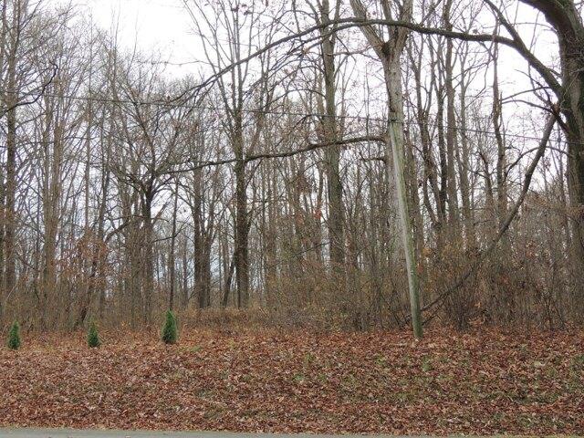 Plot For Sale In Greensburg, Indiana