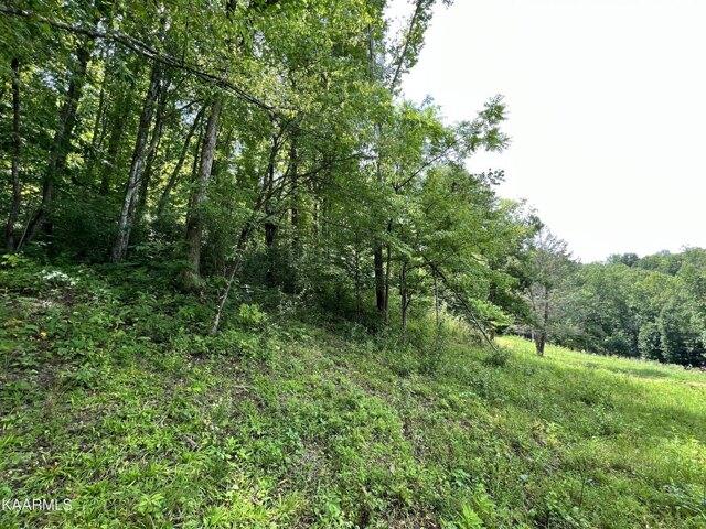 Plot For Sale In Pioneer, Tennessee