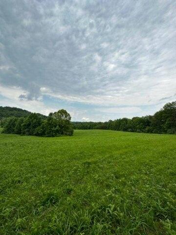Plot For Sale In Olive Hill, Kentucky