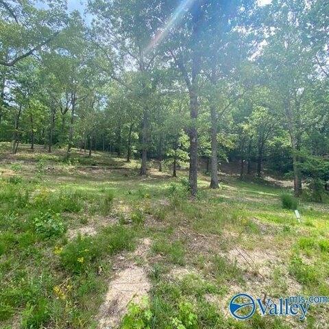 Plot For Sale In Leesburg, Alabama