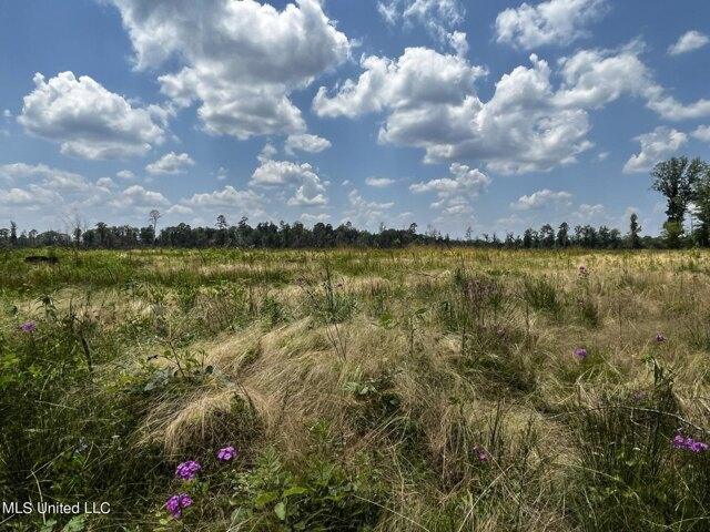 Plot For Sale In Kosciusko, Mississippi