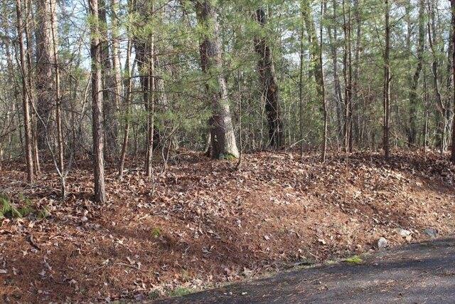 Plot For Sale In Ellijay, Georgia