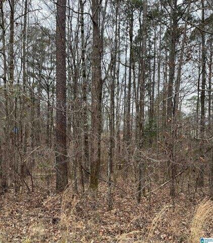 Plot For Sale In Mccalla, Alabama