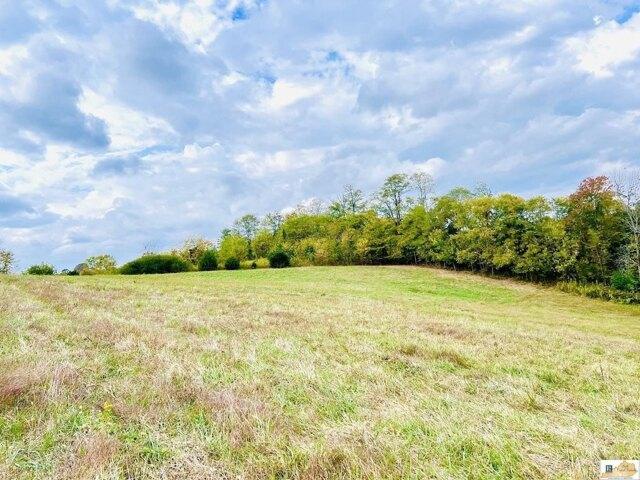 Plot For Sale In Columbia, Kentucky
