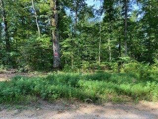 Plot For Sale In Hohenwald, Tennessee