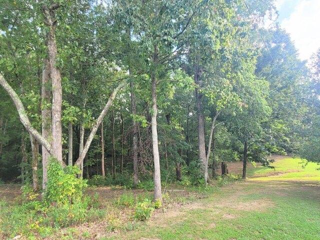 Plot For Sale In Mcminnville, Tennessee