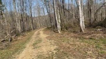 Plot For Sale In Baxter, Tennessee