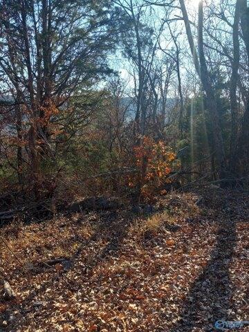 Plot For Sale In Somerville, Alabama