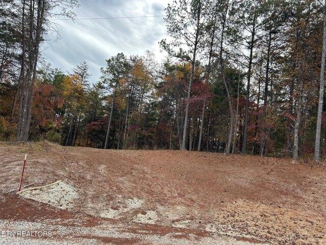Plot For Sale In Madisonville, Tennessee