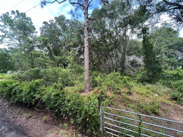 Plot For Sale In Springhill, Florida