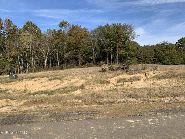 Plot For Sale In Byhalia, Mississippi