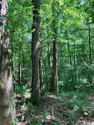 Plot For Sale In Rayle, Georgia