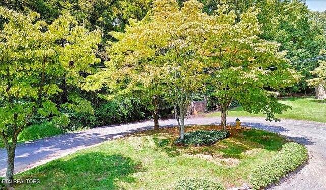 Plot For Sale In Morristown, Tennessee