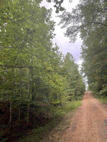 Plot For Sale In Saulsbury, Tennessee