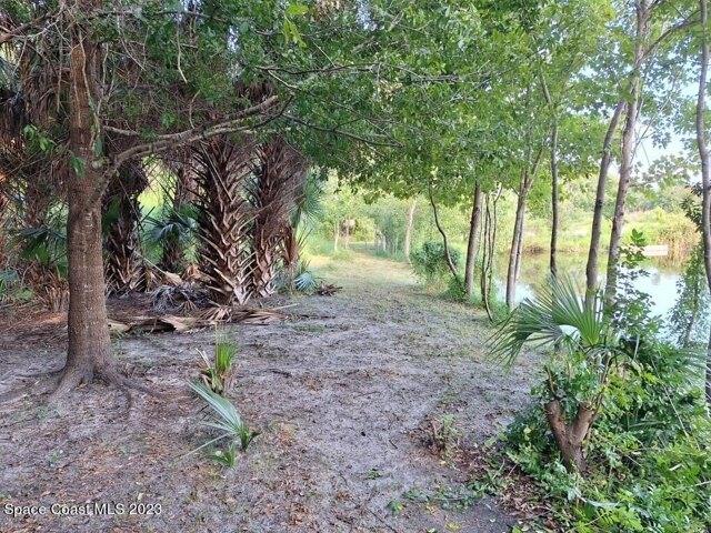Plot For Sale In Titusville, Florida