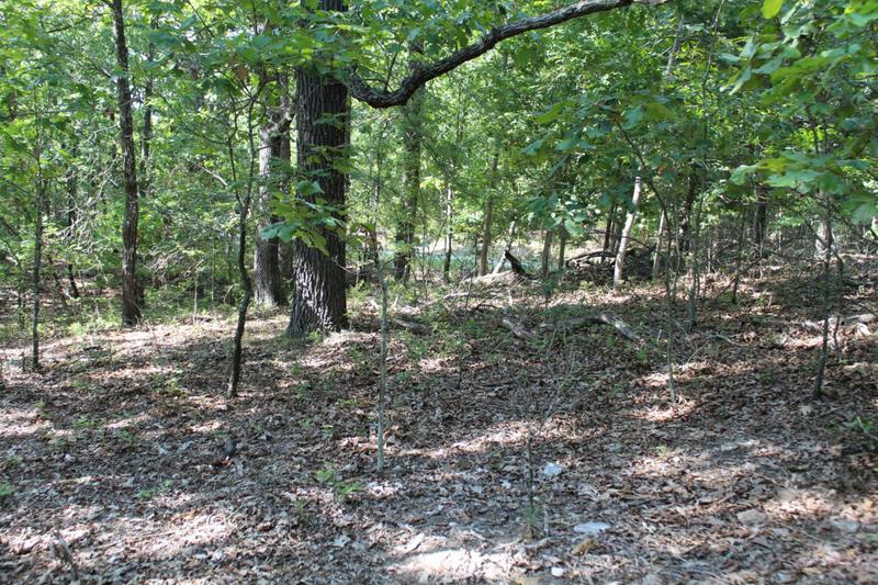 000 EAGLE RIDGE ROAD LOT 28 ROAD, Protem, MO 65733 Land For Sale  MLS# 60207638
