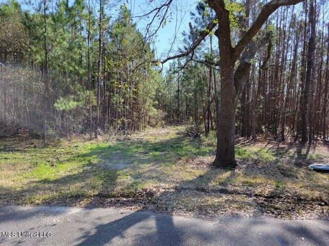 Plot For Sale In Waveland, Mississippi