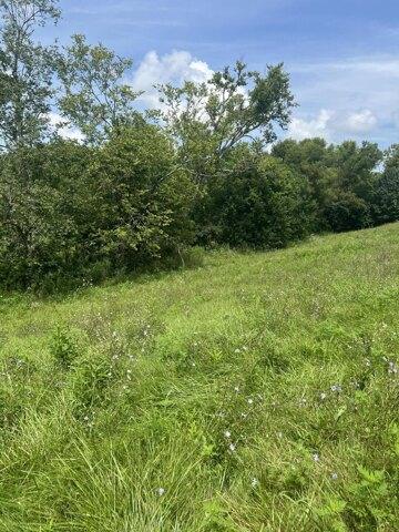 Plot For Sale In Richmond, Kentucky