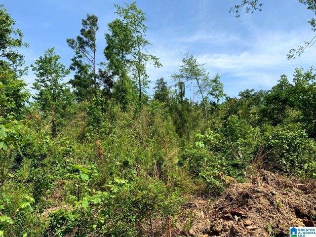 Plot For Sale In Fruithurst, Alabama