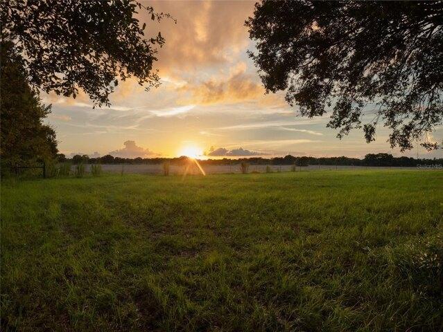Plot For Sale In Newberry, Florida