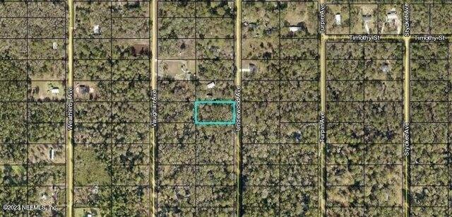Plot For Sale In Hastings, Florida