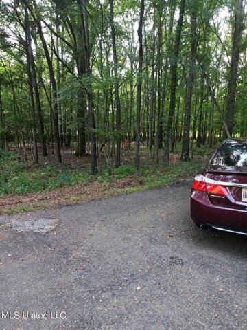 Plot For Sale In Jackson, Mississippi
