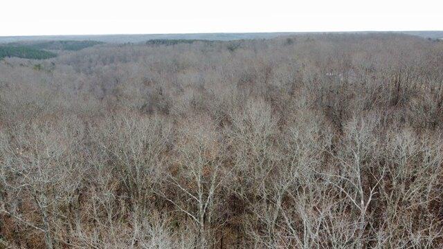 Plot For Sale In Hohenwald, Tennessee