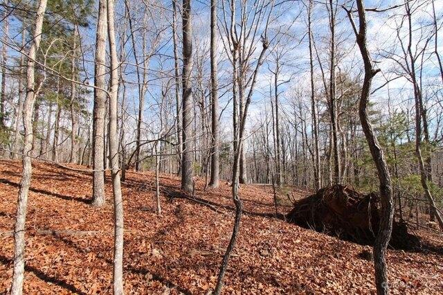 Plot For Sale In Saluda, North Carolina