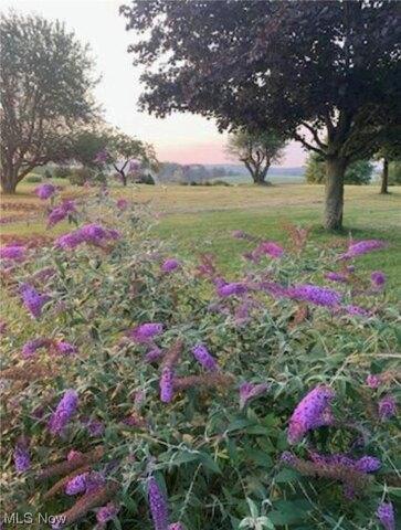Plot For Sale In Perrysville, Ohio