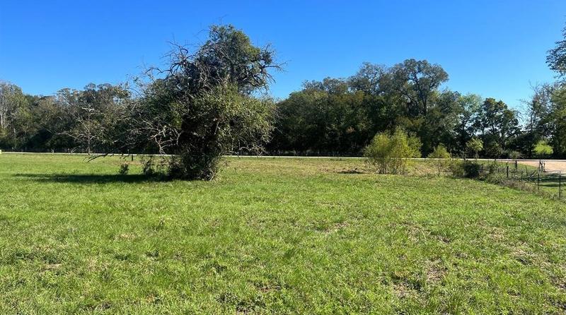 Lot 4 Cr 319, Navasota, TX 77868 - MLS 53363725 for Sale