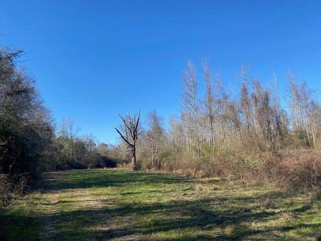 Plot For Sale In Tylertown, Mississippi