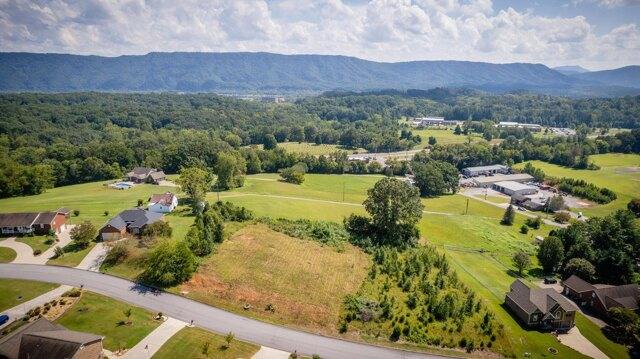 Plot For Sale In Mount Carmel, Tennessee