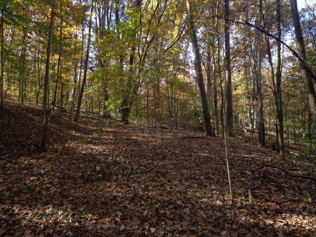 Plot For Sale In Waverly, Tennessee