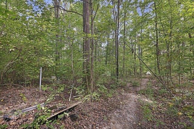Plot For Sale In Fairview, Tennessee