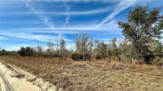 Plot For Sale In Williston, Florida