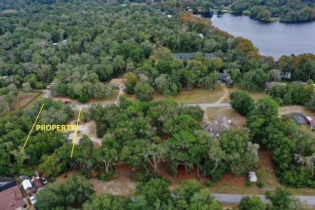 Plot For Sale In Inverness, Florida