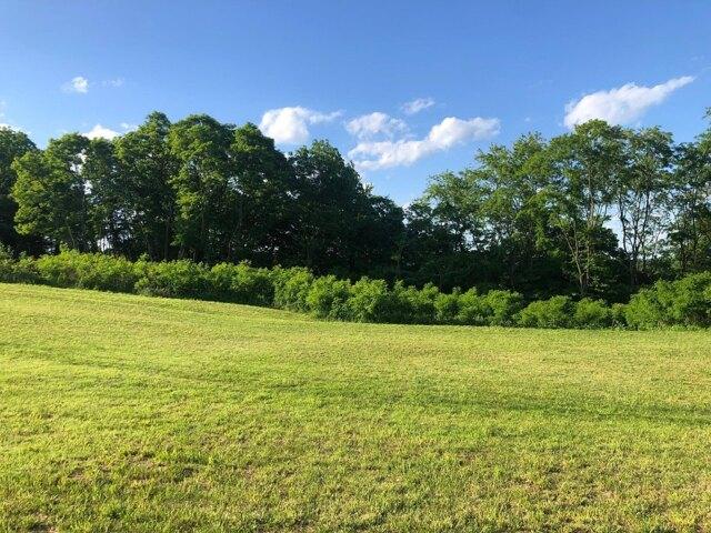 Plot For Sale In Lancaster, Kentucky