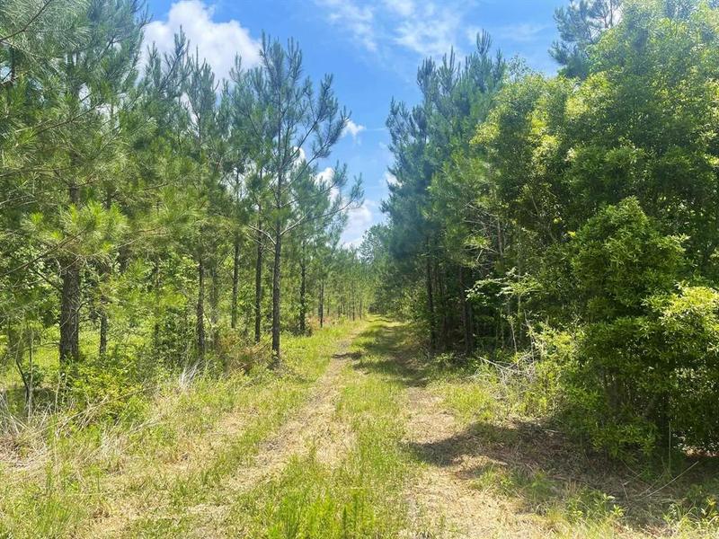 TBD PR 8480, Warren, TX 77664 for Sale
