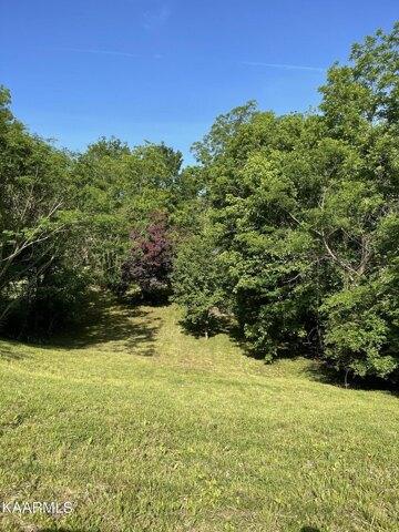 Plot For Sale In Athens, Tennessee