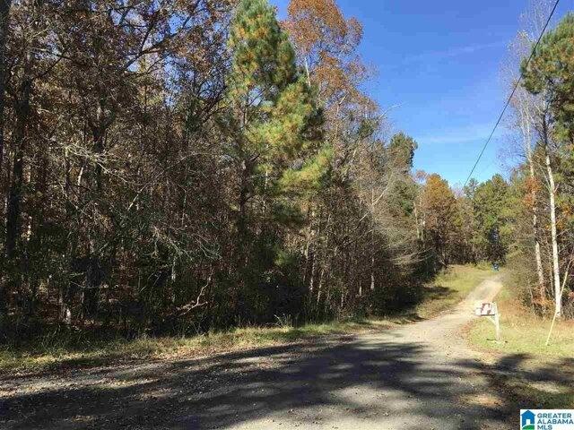 Plot For Sale In Ashville, Alabama