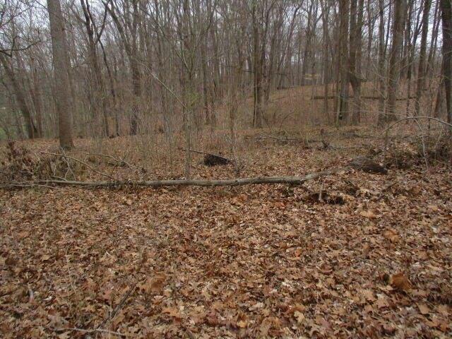 Plot For Sale In Butler, Kentucky