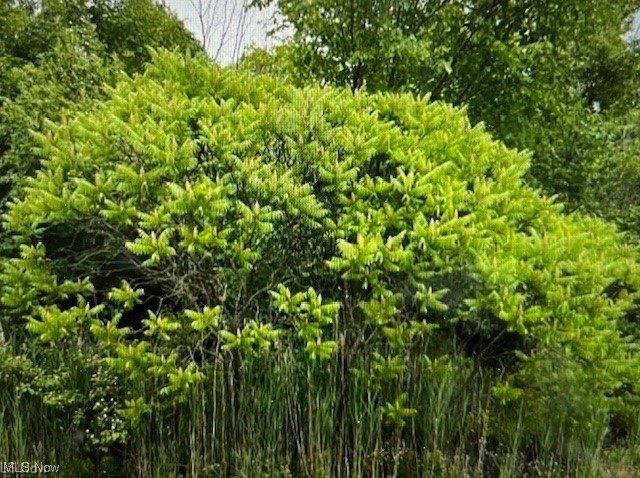 Plot For Sale In Boardman, Ohio