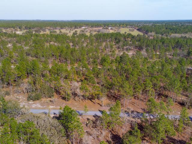 Florida Land for Sale, 0.25 Acres