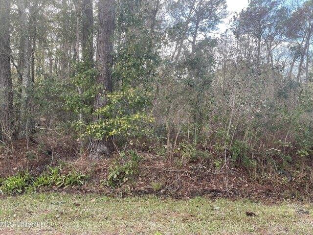 Plot For Sale In Ocean Springs, Mississippi