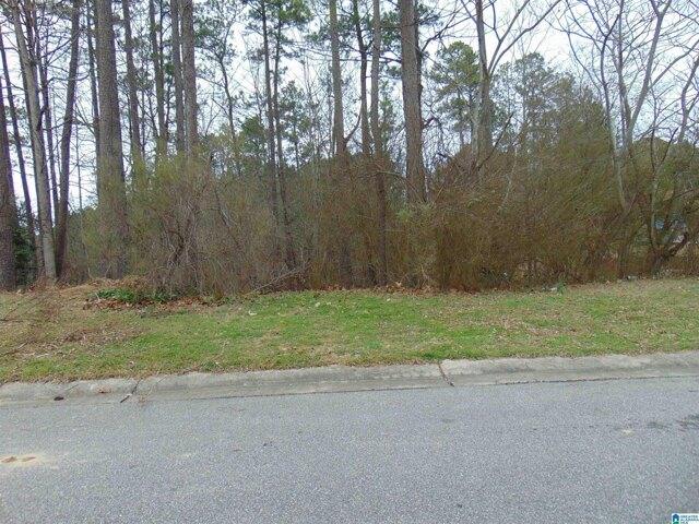 Plot For Sale In Alabaster, Alabama