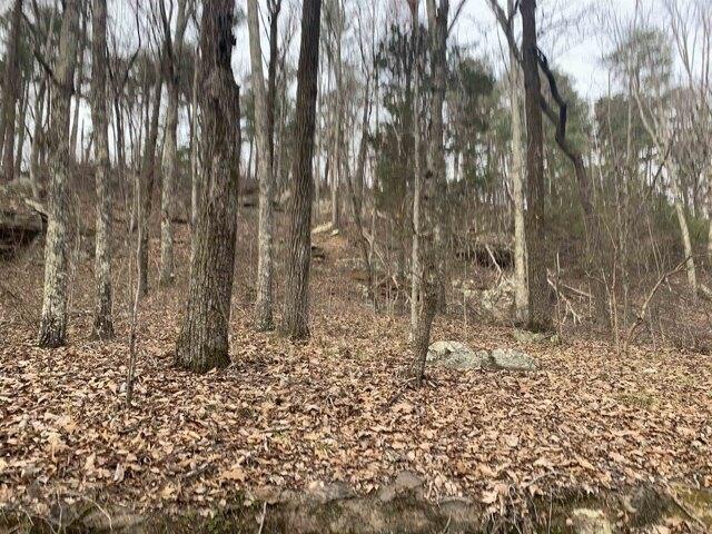 Plot For Sale In Tuscumbia, Alabama