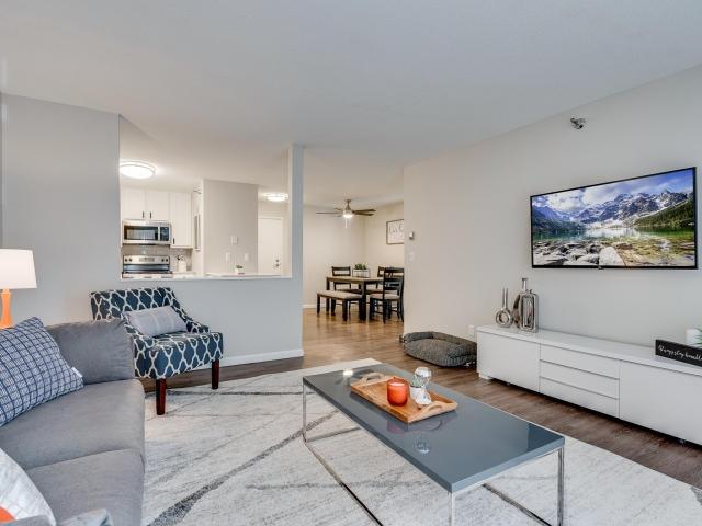 Great 1BD 1BA $1325/month for Rent